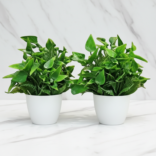 Premium Artificial Green Bonsai Plants with White Plastic Pot (Set of 2)
