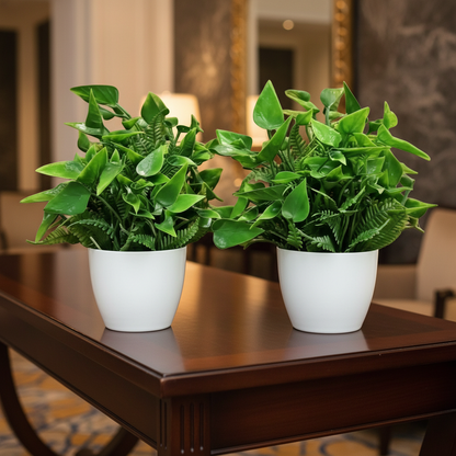 Premium Artificial Green Bonsai Plants with White Plastic Pot (Set of 2)